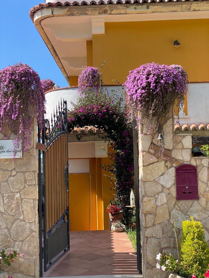 טרופאה Rosa Dei Venti Accomodation מראה חיצוני תמונה